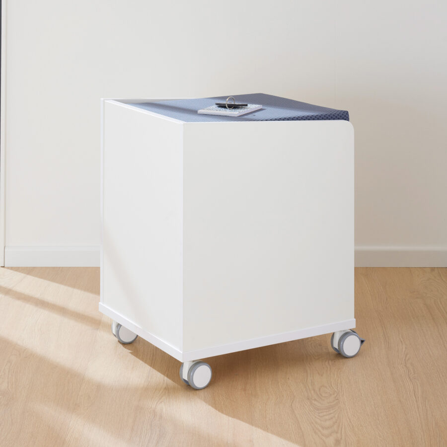 1408221 PAIDI Rollcontainer