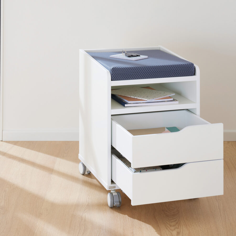 1408221 PAIDI Rollcontainer