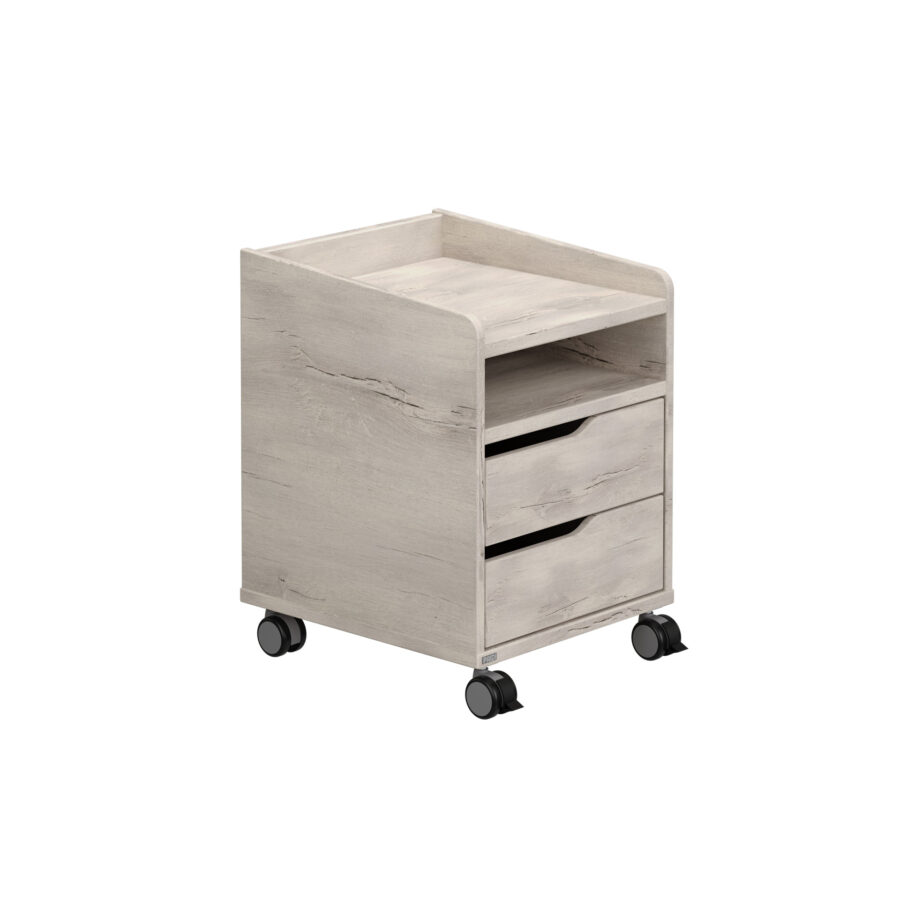 1408228 PAIDI Rollcontainer