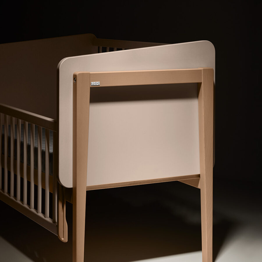 PAIDI Details Little Cloud