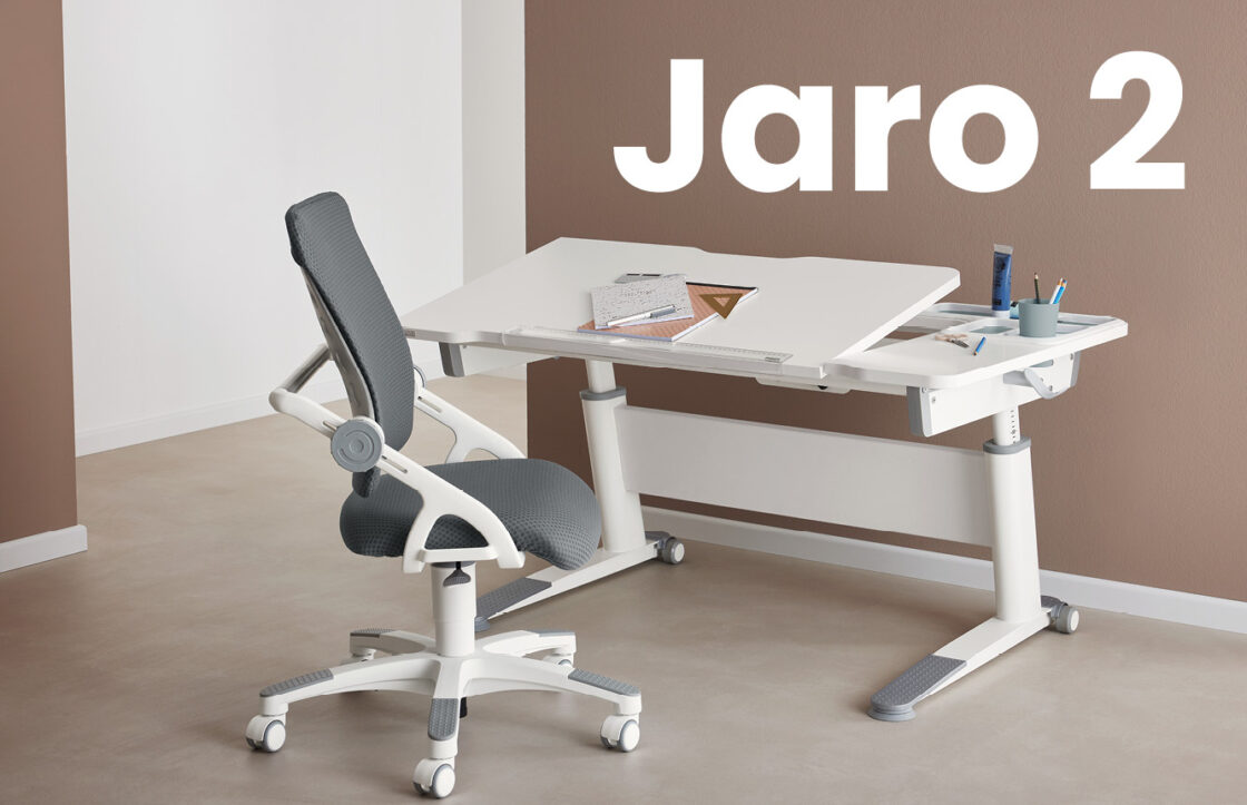 PAIDI Jaro übersicht