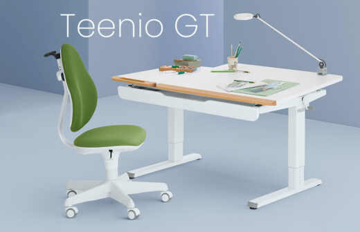 PAIDI Kinderschreibtische Teenio