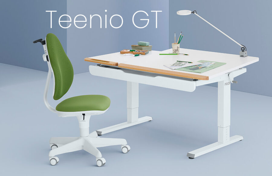 PAIDI Kinderschreibtische Teenio
