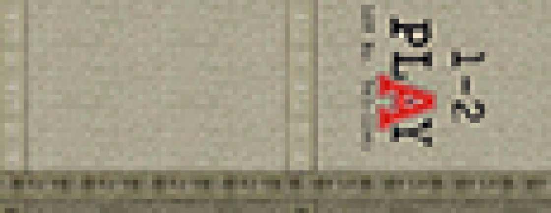 PAIDI Canvas Style