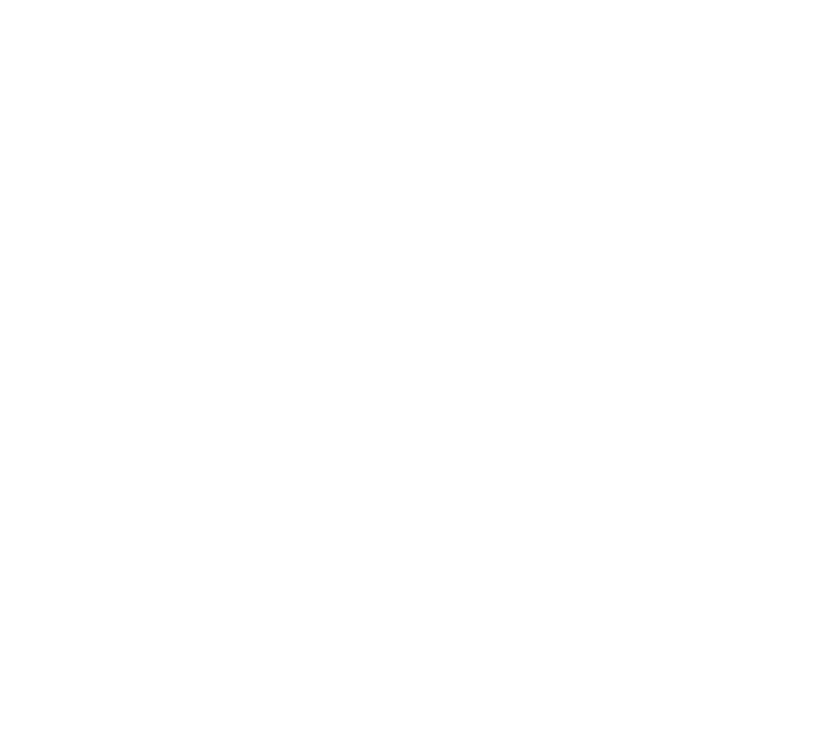 PAIDI Shop